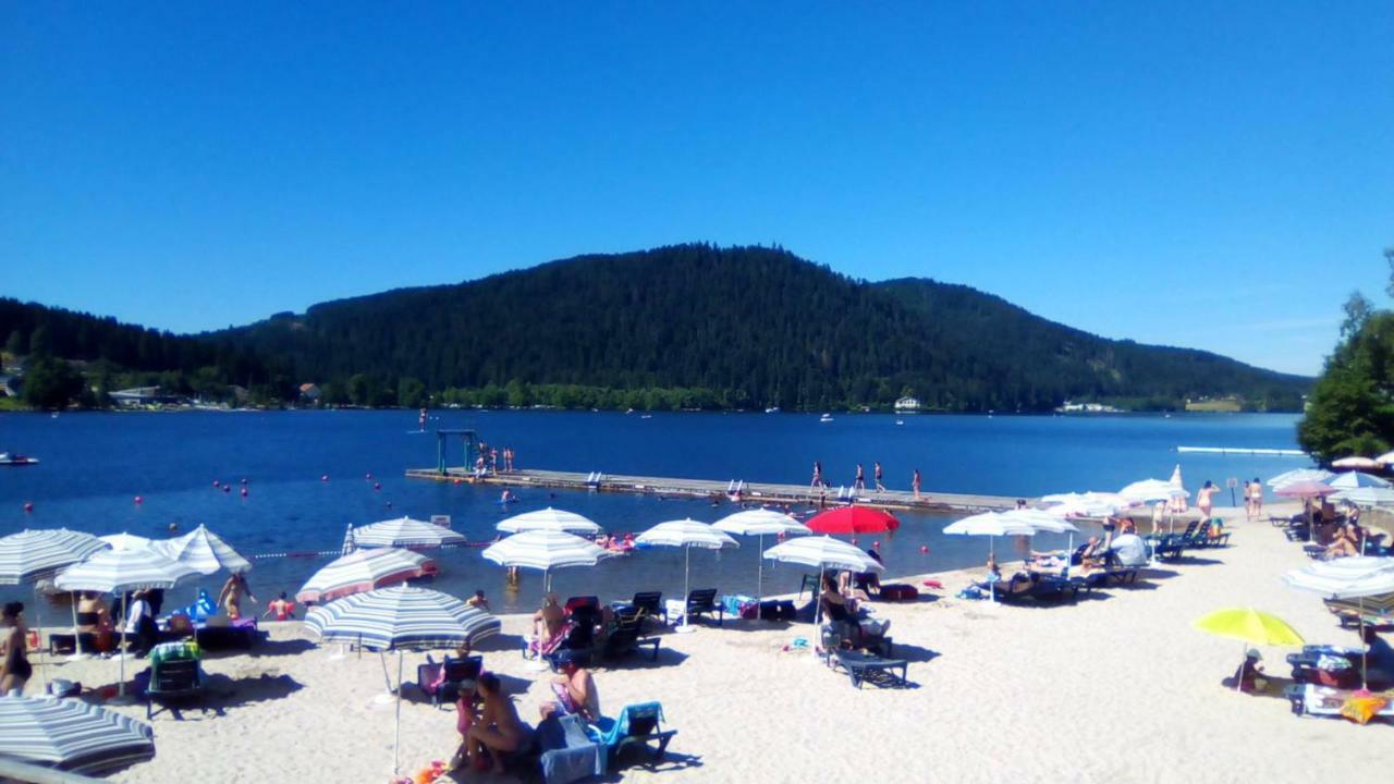 Chalet Les Camelias Spa Gérardmer Kültér fotó